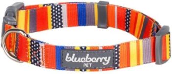 Dog collar - Blueberry Pet 6