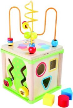 Insect Activity Cube - Small Foot 38