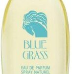 Arden Blue Grass Eau de Parfum 100 ml Spray 10