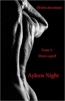Unknown Desires: Volume 1: Captive Desire by Ayleen Night (Paperback) 26