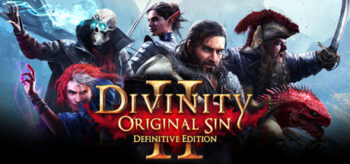 Divinity: Original Sin 2 - Definitive Edition 6