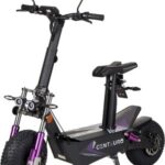 4 x 4 Ecoxtrem electric scooter with large tires 12