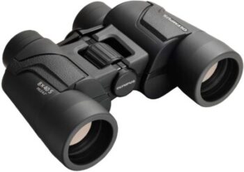 Olympus Binoculars 8 x 40 2