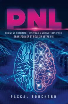 Pascal Bouchard : NLP: How to know your true motivations to transform and succeed in your personal and professional life 16
