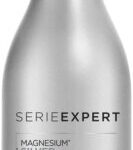 L'Oréal Professionnel Expert Series Silver 10