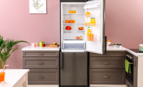 The best combination fridges 14