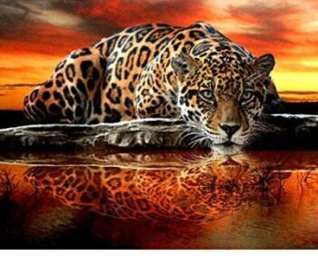 Qingdewan Tiger Sunset - 1000 pieces 16