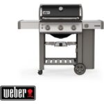 Weber Genesis II E-310 11