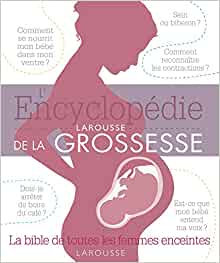 Larousse Encyclopedia of Pregnancy 40