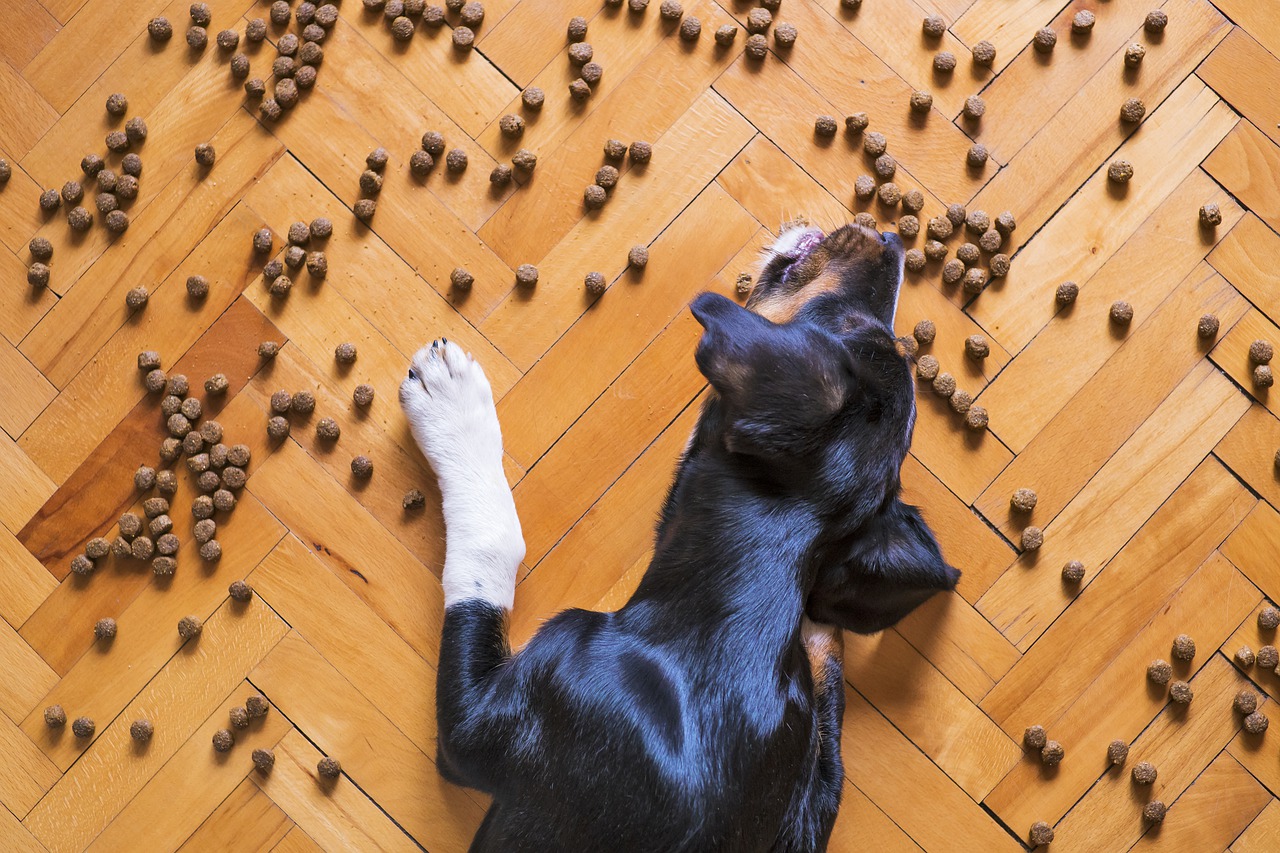 The best grain-free dog food 13