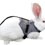 Rabbit costume harness 12