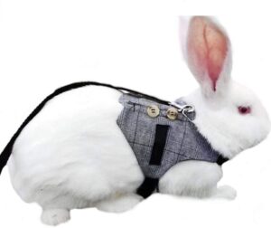 Rabbit costume harness 4