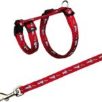 Harness with leash for rabbit 10