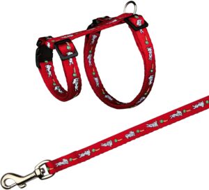 Harness with leash for rabbit 2