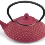 Bredemeijer G002GR - Red cast iron teapot 11
