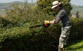 The best electric hedge trimmers 13