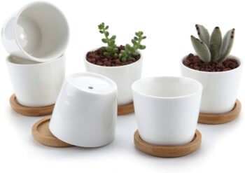 Set of 6 small ceramic pots with bamboo tray 26