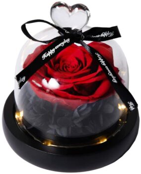 Eternal rose under glass dome with LED light 14