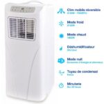 Airton reversible mobile air conditioner 10