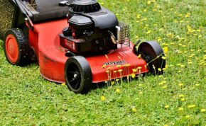 The best lithium battery lawnmowers 14
