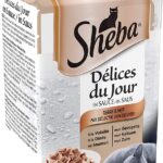 Sheba Delights of the Day 11