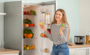 The best 1 door refrigerators 15