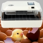 Iglobalbuy - Automatic incubator with humidity control 12