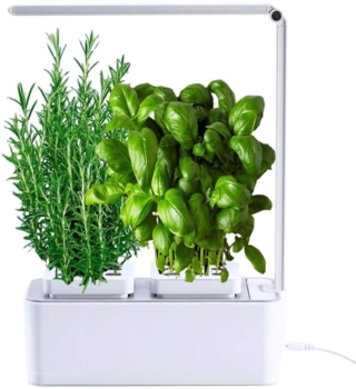 Indoor Hydroponic Vegetable Garden AmzWOW Clizia Smart Garden 33