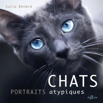 Cats: Atypical portraits 6