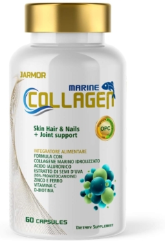 Hydrolyzed Collagen Supplement - J.ARMOR 2