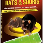 Set of 2 glue traps for rats and mice KB 16