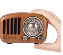 Portable rechargeable radio PRUNUS J-919 26