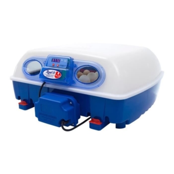 Borotto Real 49 Plus Automatic - Antimicrobial automatic incubator 5