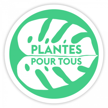 Plante Pour Tous - The garden center at low cost 6