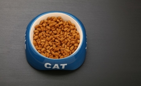 The best kibbles for cats without cereals 15